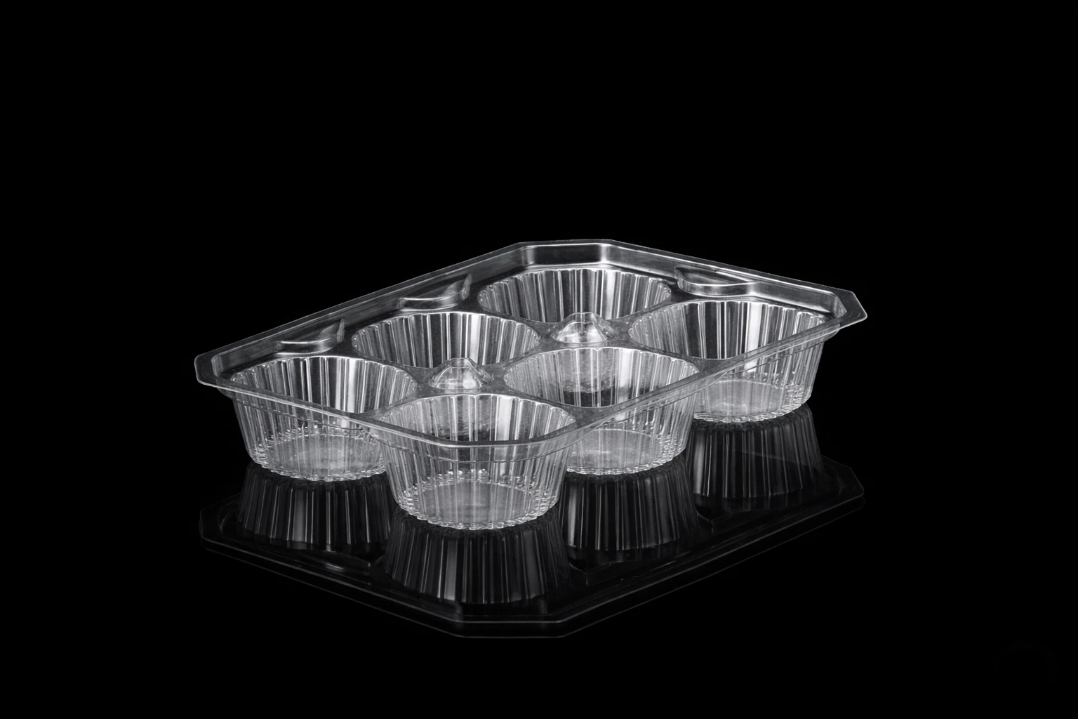 6 Cup Cake tray 1