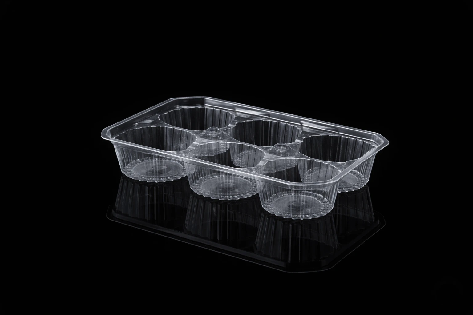 6 Cup Cake tray