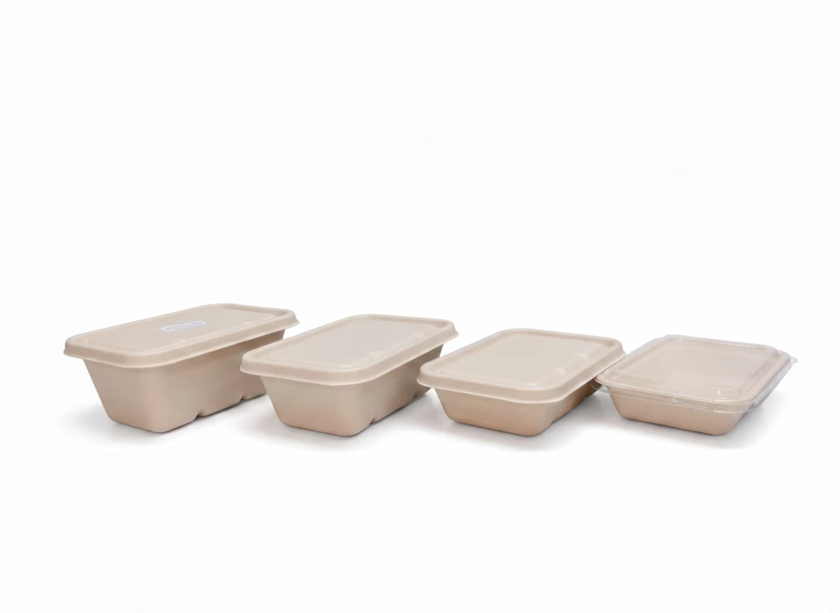 Bio 450ml Recta w Lid