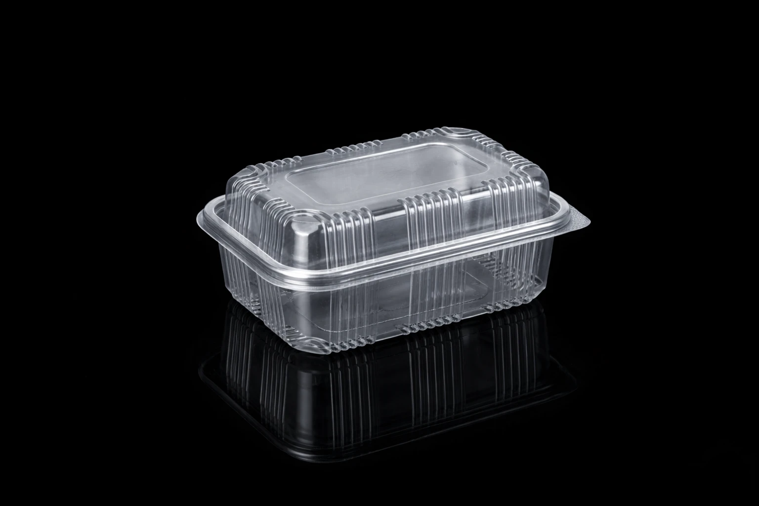 HINGED BOX 600 ML HI LID