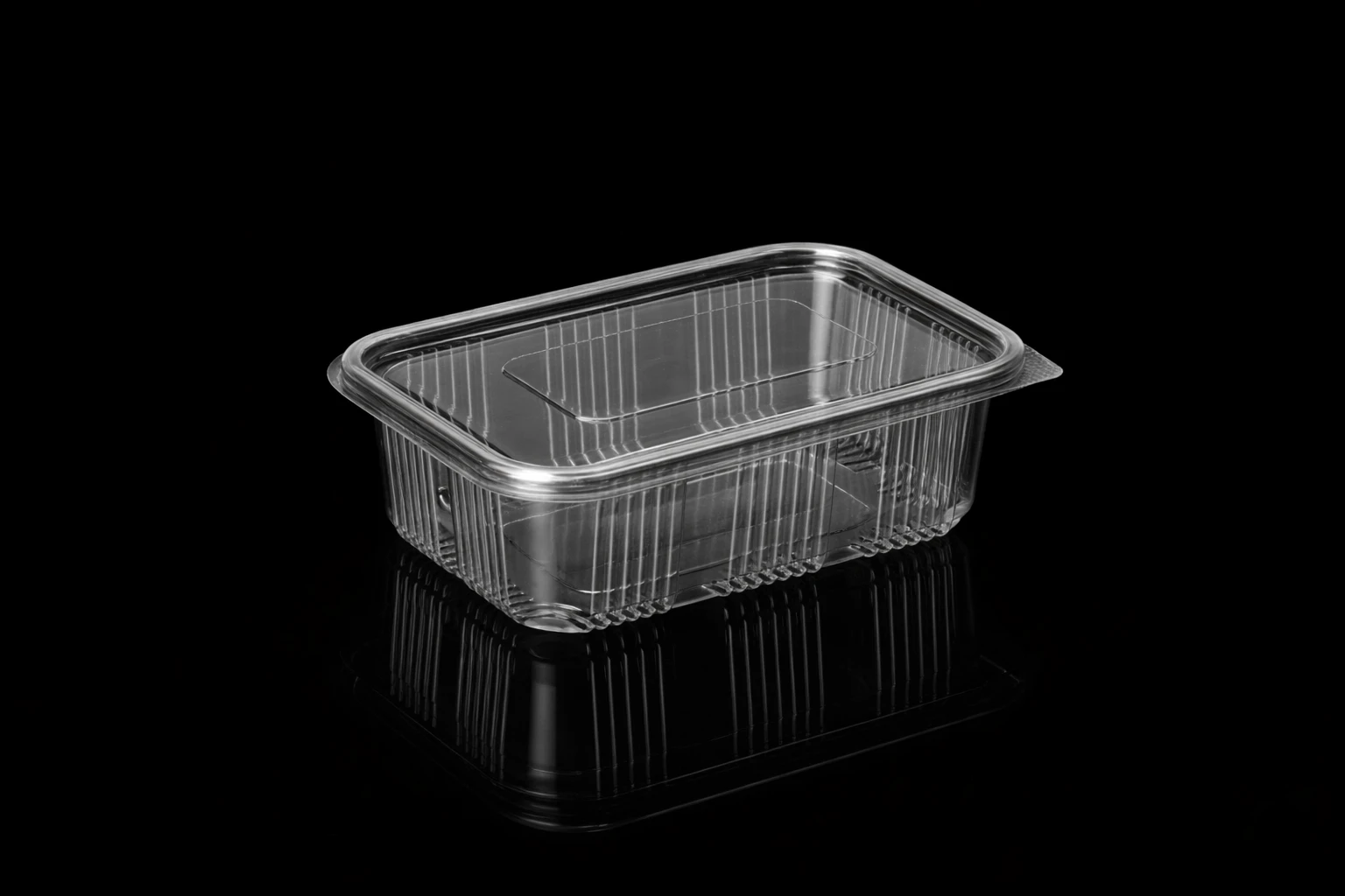 HINGED BOX 600 ML