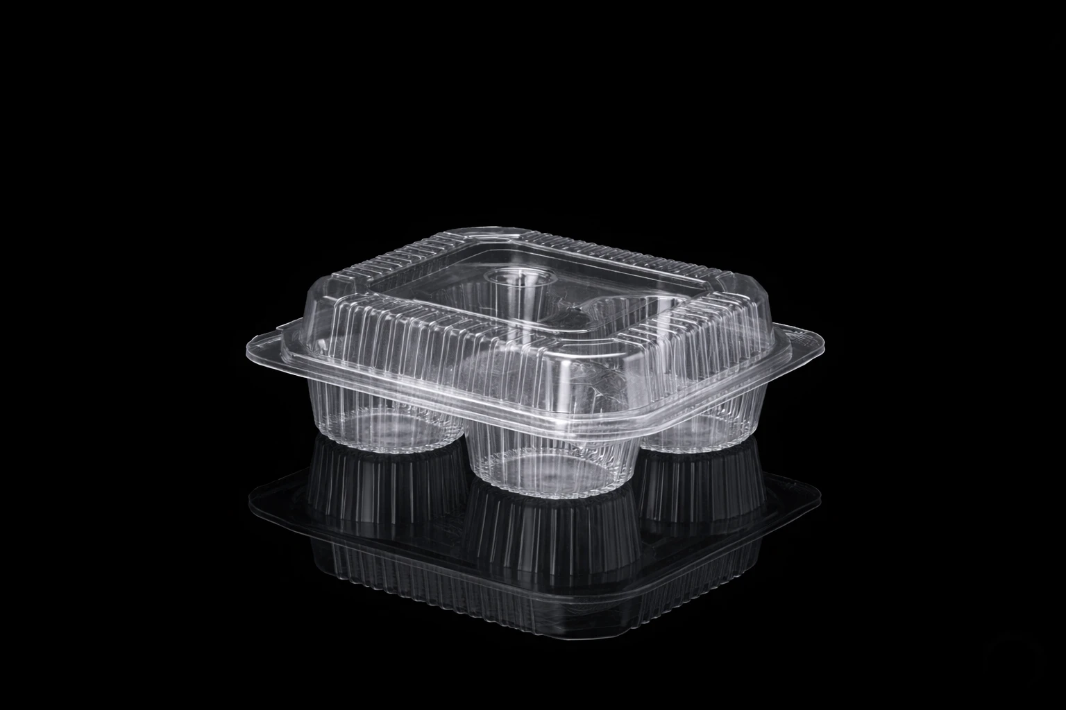 Hinged Box 4 cup cake