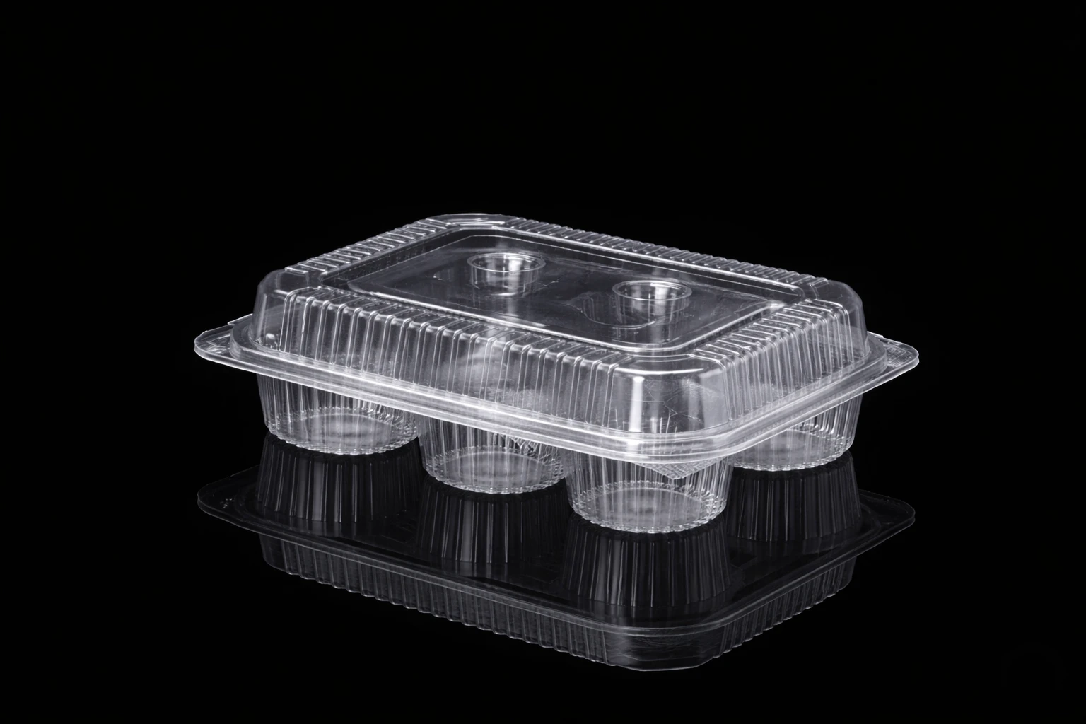 Hinged Box 6 cup cake