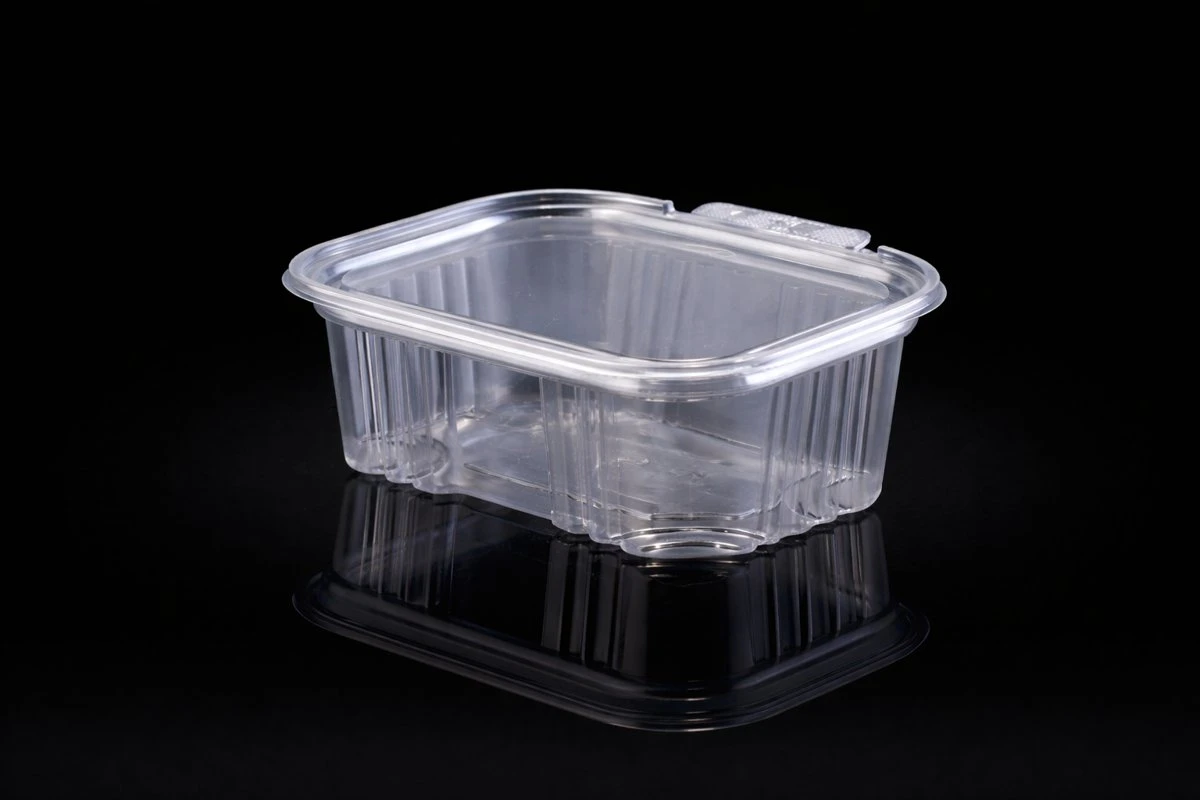 Hinged Box TEMPER EVIDENT 1000ml