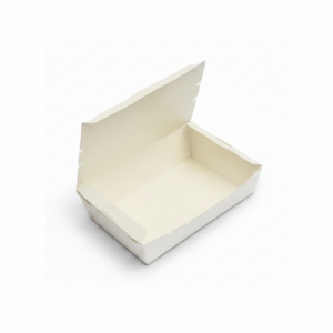 Alternative view of 500 Single Flap Box