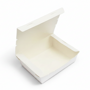Alternative view of 900 Single Flap Box