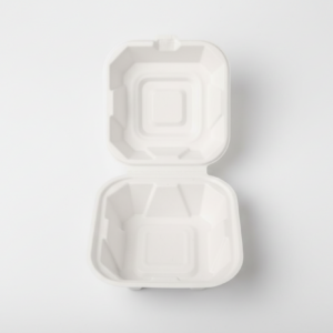 Bio Burger Box (450ml)