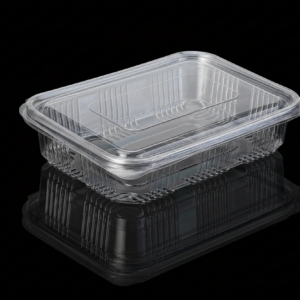 HINGED BOX 650 ML