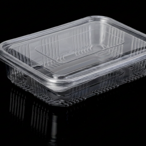 Hinged Rectangular 650ml better